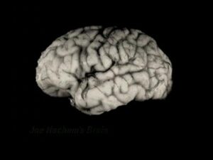 Poker Stars &amp;#8211; Brain