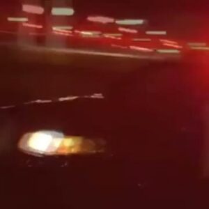 Dan Bilzerian Police Car Show