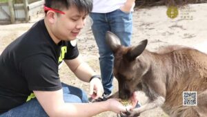 MBP &amp;#8211; Tour of Australia Part 2