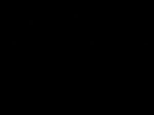 Short interview with Doyle Brunson