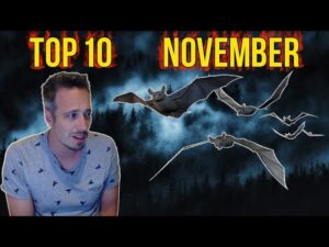 Lex Veldhuis Top 10 Clips of November!