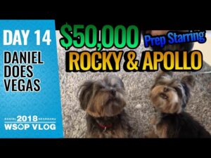 Daniel Negreanu 2018 WSOP VLOG: Day 14 &amp;#8211; $50k Prep!
