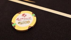 Andrew Neeme: Poker Vlog 223